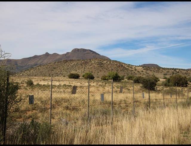 31HA FARM FOR SALE IN MIDDELBURG RURAL